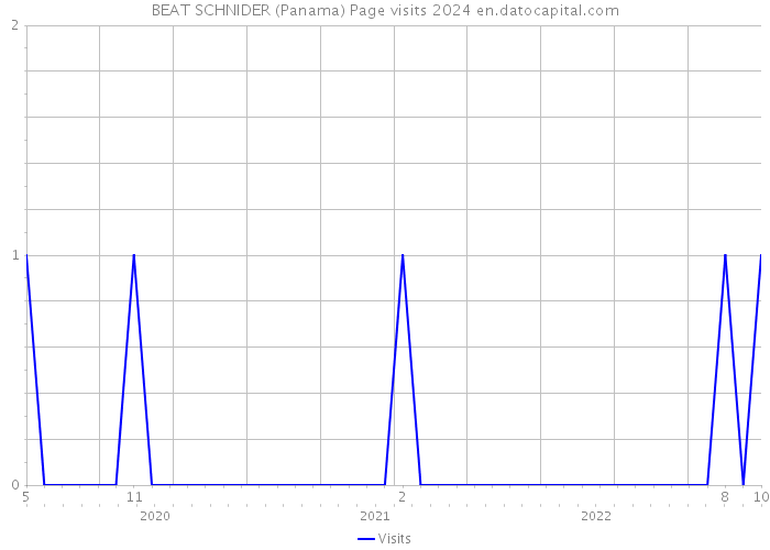 BEAT SCHNIDER (Panama) Page visits 2024 