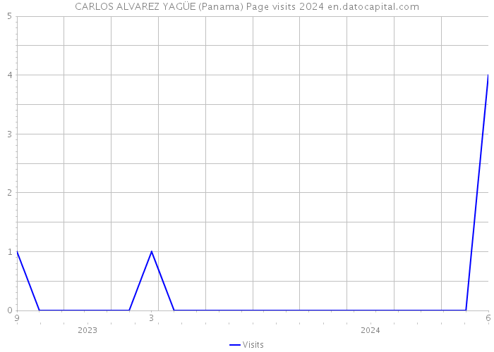 CARLOS ALVAREZ YAGÜE (Panama) Page visits 2024 