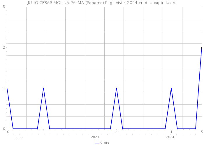 JULIO CESAR MOLINA PALMA (Panama) Page visits 2024 