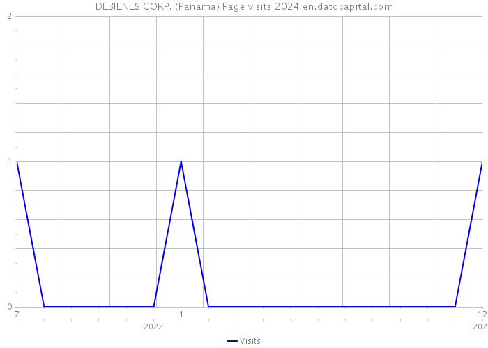 DEBIENES CORP. (Panama) Page visits 2024 