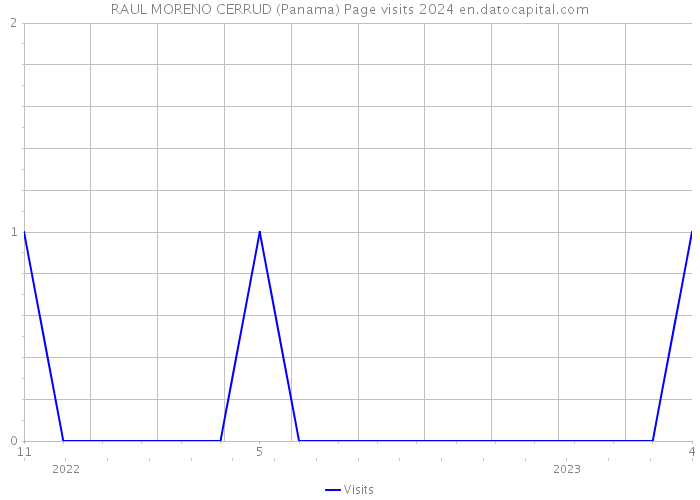 RAUL MORENO CERRUD (Panama) Page visits 2024 