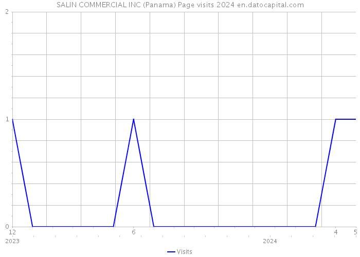 SALIN COMMERCIAL INC (Panama) Page visits 2024 