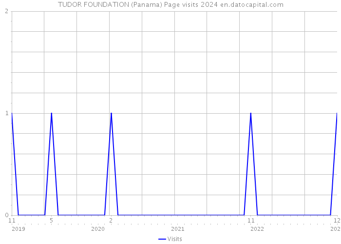 TUDOR FOUNDATION (Panama) Page visits 2024 