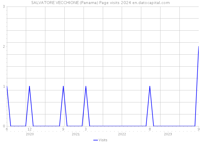 SALVATORE VECCHIONE (Panama) Page visits 2024 