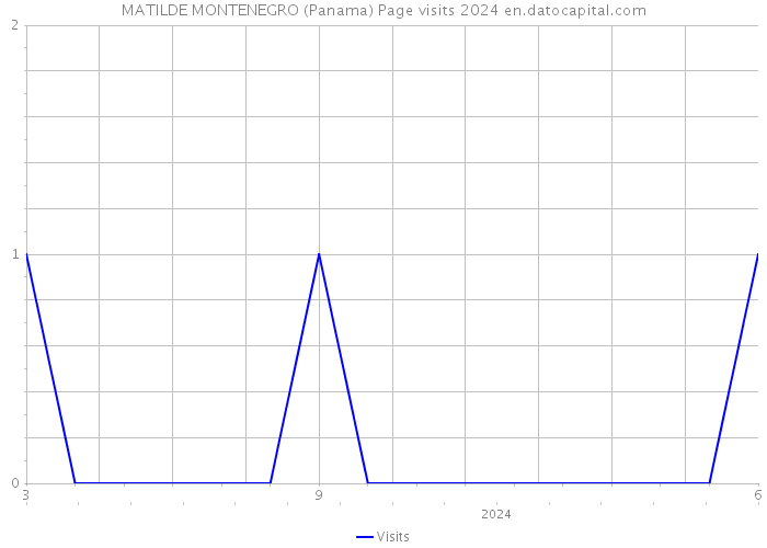 MATILDE MONTENEGRO (Panama) Page visits 2024 