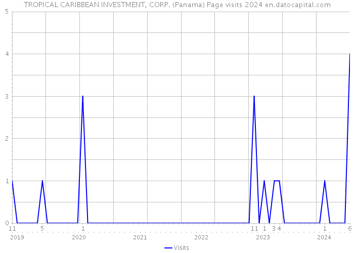 TROPICAL CARIBBEAN INVESTMENT, CORP. (Panama) Page visits 2024 