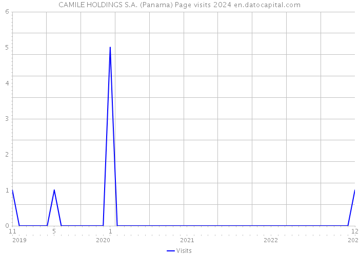 CAMILE HOLDINGS S.A. (Panama) Page visits 2024 