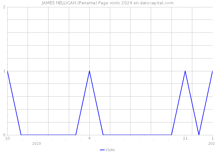 JAMES NELLIGAN (Panama) Page visits 2024 