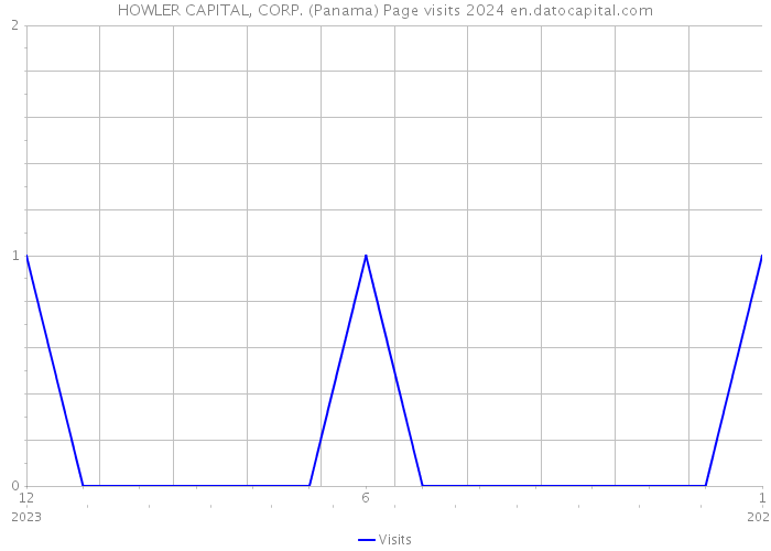 HOWLER CAPITAL, CORP. (Panama) Page visits 2024 