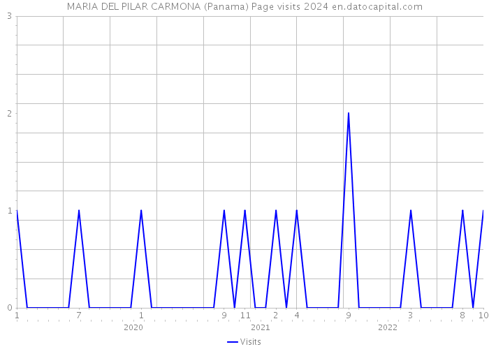MARIA DEL PILAR CARMONA (Panama) Page visits 2024 