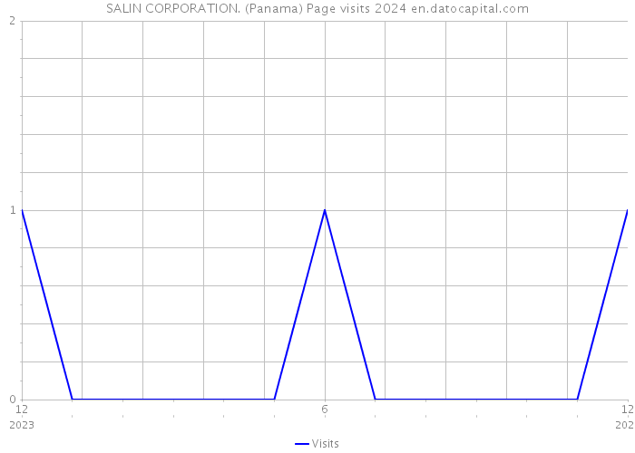 SALIN CORPORATION. (Panama) Page visits 2024 