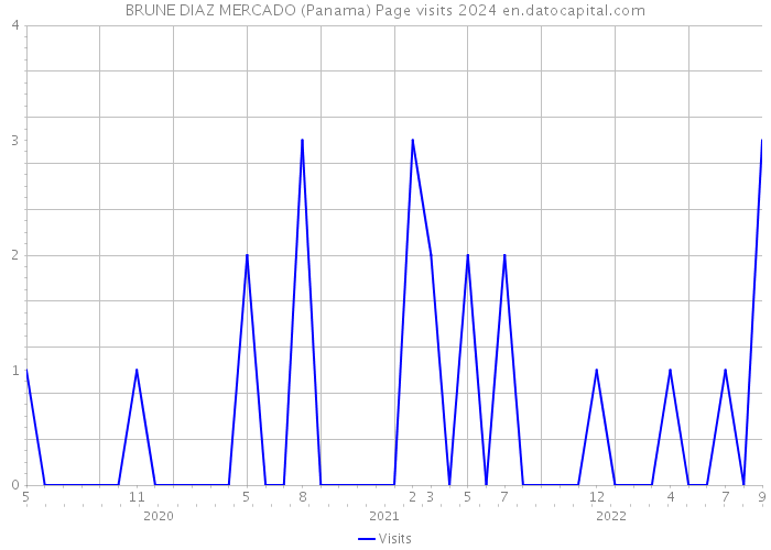 BRUNE DIAZ MERCADO (Panama) Page visits 2024 