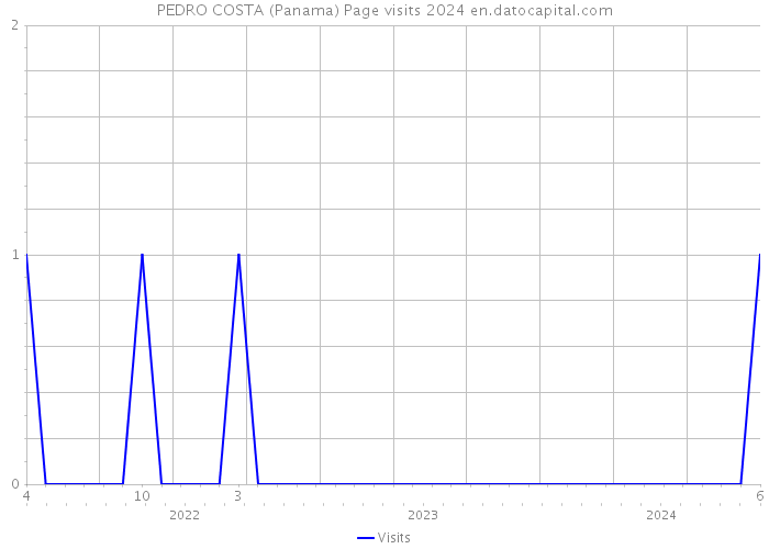 PEDRO COSTA (Panama) Page visits 2024 