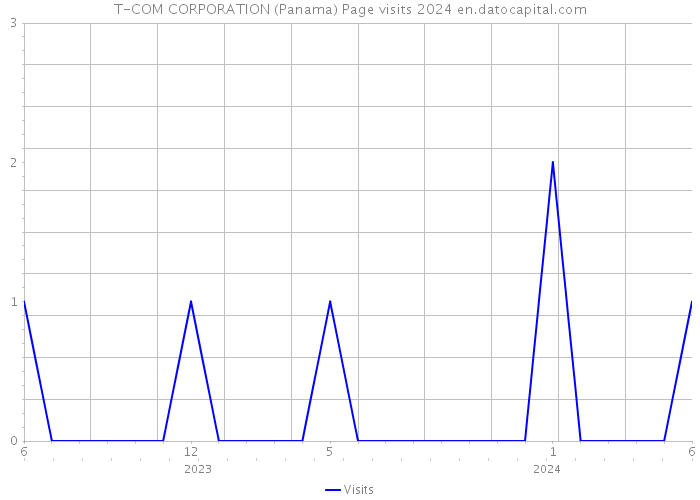 T-COM CORPORATION (Panama) Page visits 2024 