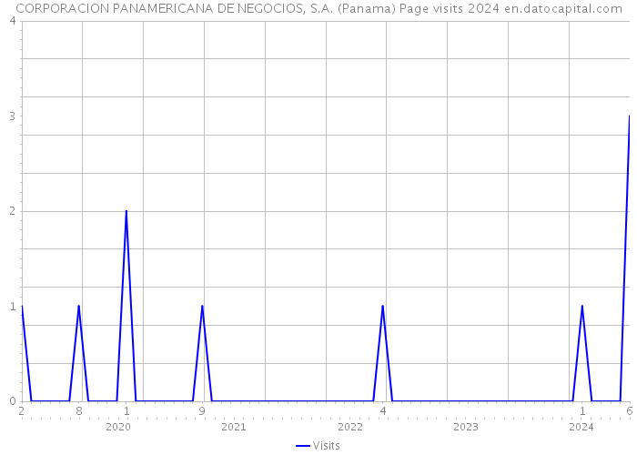 CORPORACION PANAMERICANA DE NEGOCIOS, S.A. (Panama) Page visits 2024 