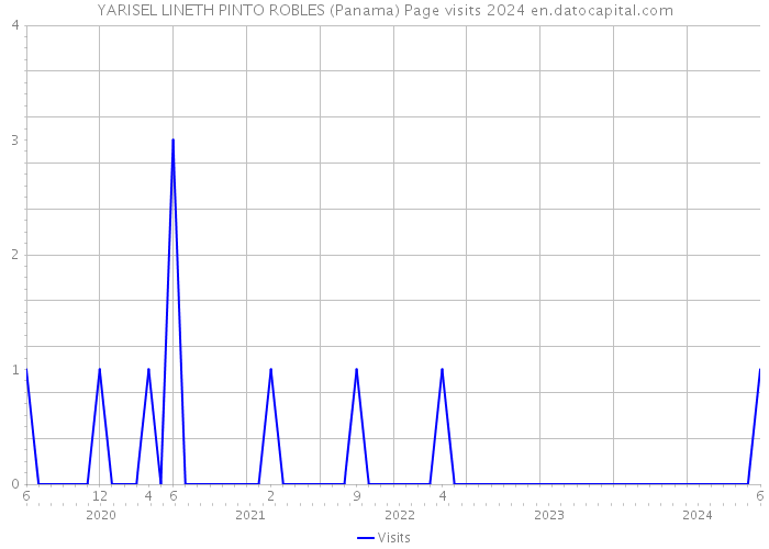 YARISEL LINETH PINTO ROBLES (Panama) Page visits 2024 