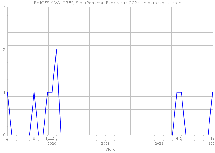 RAICES Y VALORES, S.A. (Panama) Page visits 2024 