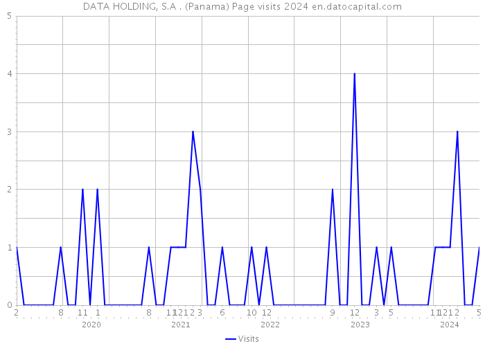 DATA HOLDING, S.A . (Panama) Page visits 2024 