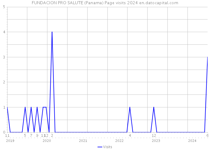 FUNDACION PRO SALUTE (Panama) Page visits 2024 