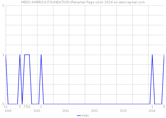 MESO AMERICA FOUNDATION (Panama) Page visits 2024 