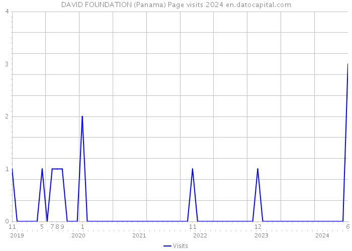 DAVID FOUNDATION (Panama) Page visits 2024 