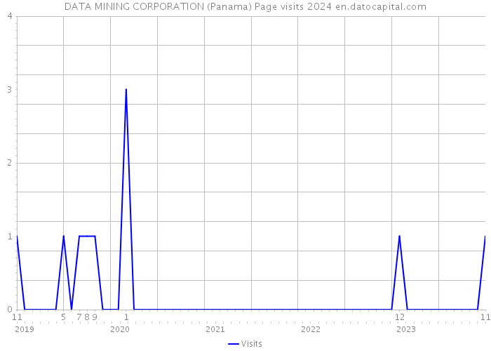 DATA MINING CORPORATION (Panama) Page visits 2024 