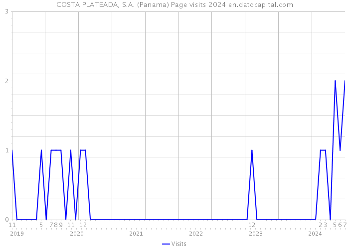 COSTA PLATEADA, S.A. (Panama) Page visits 2024 