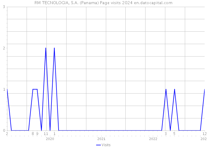 RM TECNOLOGIA, S.A. (Panama) Page visits 2024 