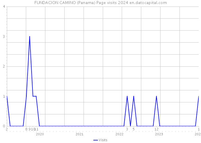 FUNDACION CAMINO (Panama) Page visits 2024 