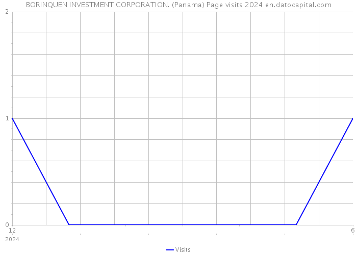 BORINQUEN INVESTMENT CORPORATION. (Panama) Page visits 2024 