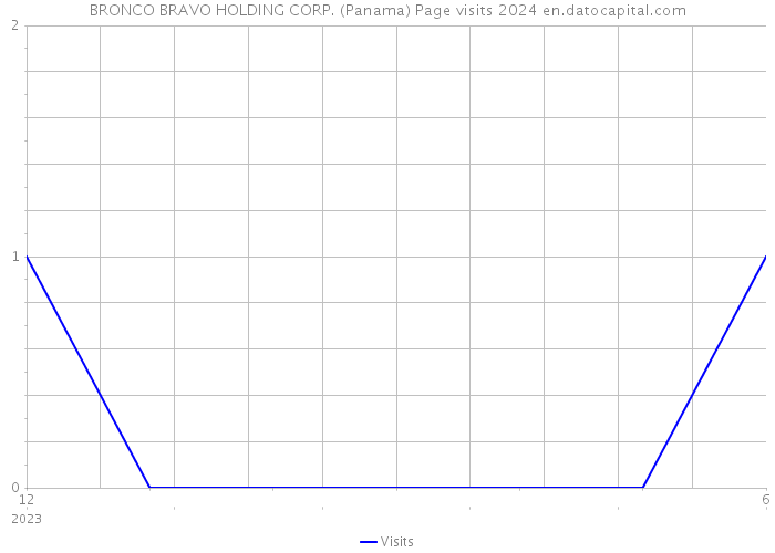 BRONCO BRAVO HOLDING CORP. (Panama) Page visits 2024 