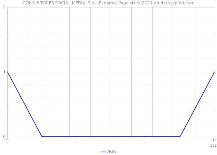 CONSULTORES SOCIAL MEDIA, S.A. (Panama) Page visits 2024 