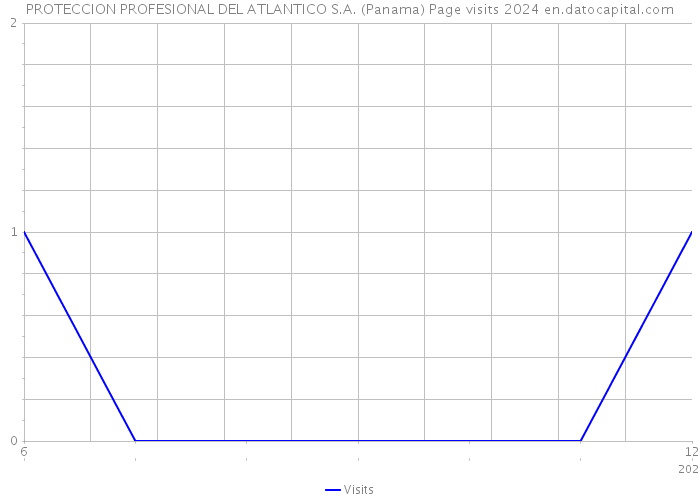 PROTECCION PROFESIONAL DEL ATLANTICO S.A. (Panama) Page visits 2024 