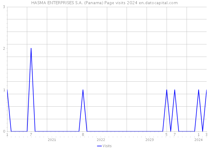 HASMA ENTERPRISES S.A. (Panama) Page visits 2024 