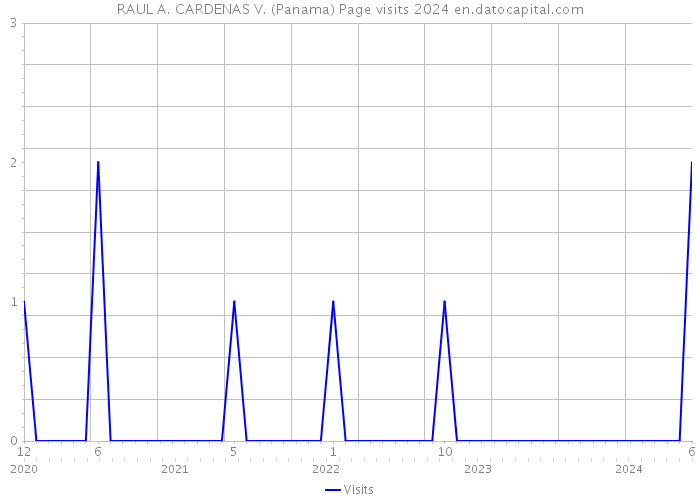 RAUL A. CARDENAS V. (Panama) Page visits 2024 
