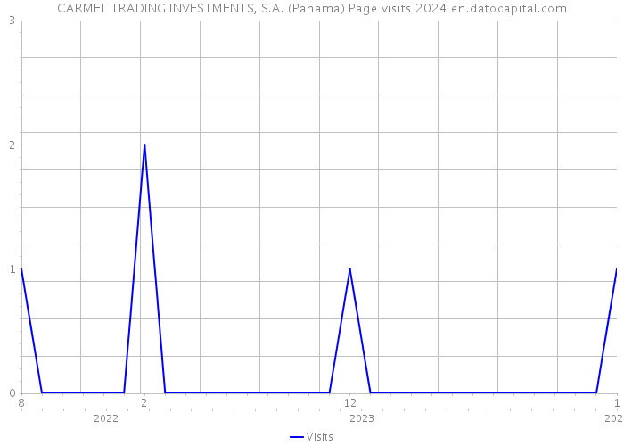 CARMEL TRADING INVESTMENTS, S.A. (Panama) Page visits 2024 