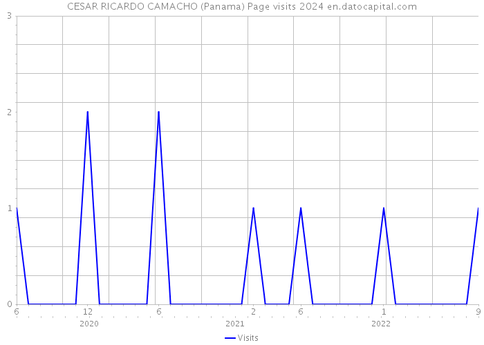 CESAR RICARDO CAMACHO (Panama) Page visits 2024 