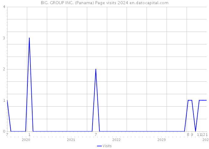 BIG. GROUP INC. (Panama) Page visits 2024 