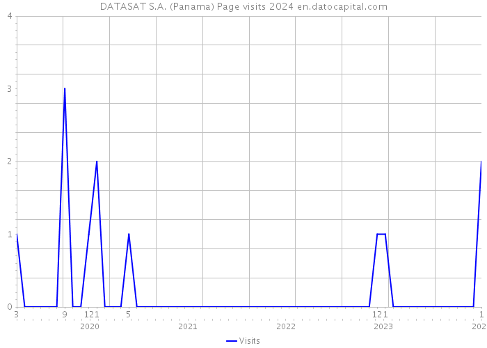 DATASAT S.A. (Panama) Page visits 2024 