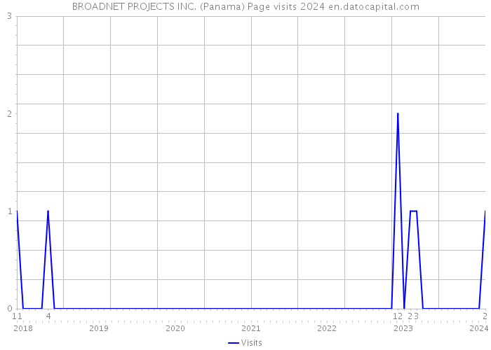 BROADNET PROJECTS INC. (Panama) Page visits 2024 