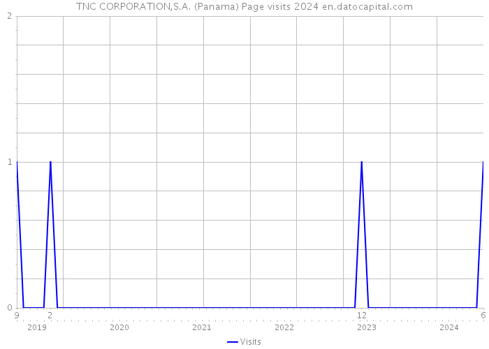 TNC CORPORATION,S.A. (Panama) Page visits 2024 