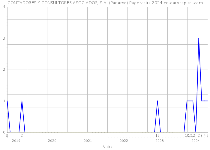 CONTADORES Y CONSULTORES ASOCIADOS, S.A. (Panama) Page visits 2024 