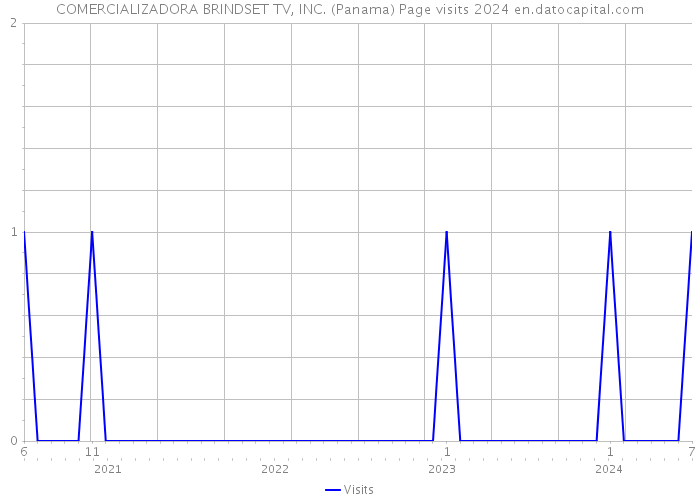 COMERCIALIZADORA BRINDSET TV, INC. (Panama) Page visits 2024 