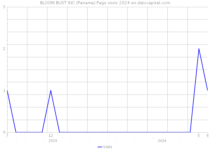 BLOOM BUST INC (Panama) Page visits 2024 