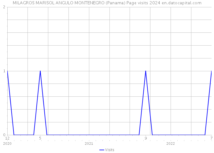 MILAGROS MARISOL ANGULO MONTENEGRO (Panama) Page visits 2024 