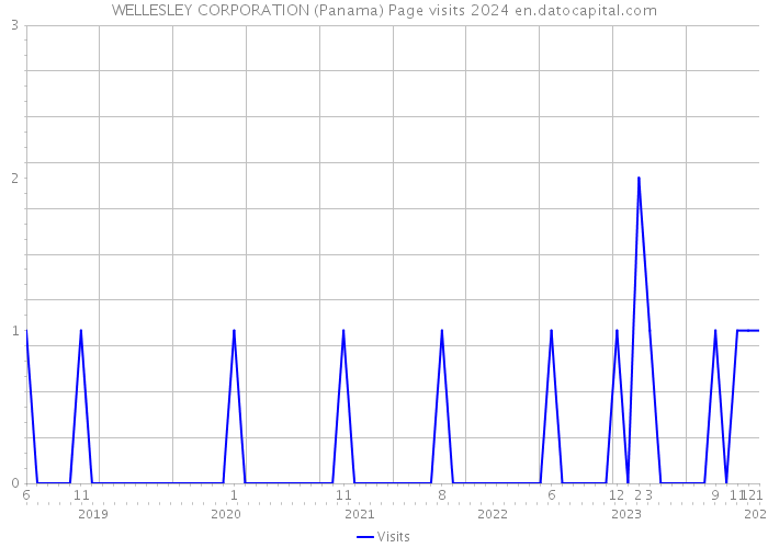 WELLESLEY CORPORATION (Panama) Page visits 2024 