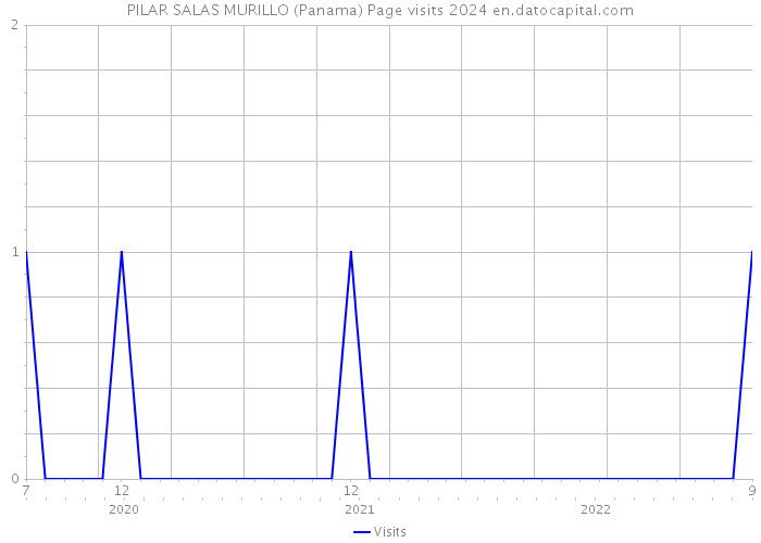 PILAR SALAS MURILLO (Panama) Page visits 2024 