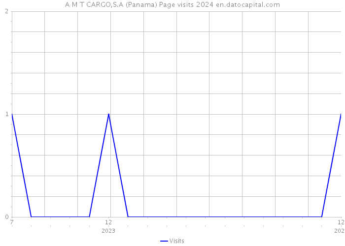 A M T CARGO,S.A (Panama) Page visits 2024 