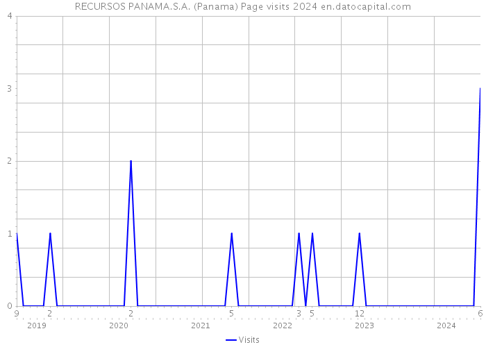 RECURSOS PANAMA.S.A. (Panama) Page visits 2024 