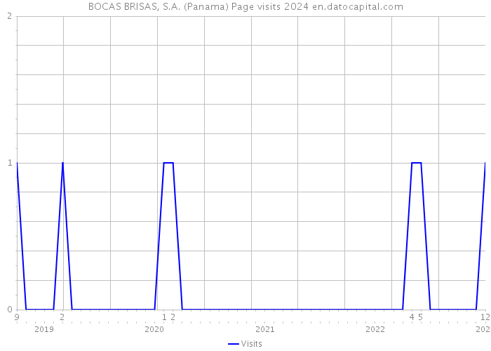 BOCAS BRISAS, S.A. (Panama) Page visits 2024 